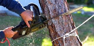 Best Lawn Mowing  in Yosemite Lakes, CA