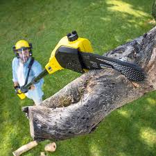 Best Arborist Consultation Services  in Yosemite Lakes, CA