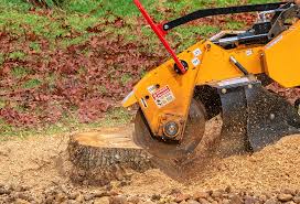 Best Hazardous Tree Removal  in Yosemite Lakes, CA