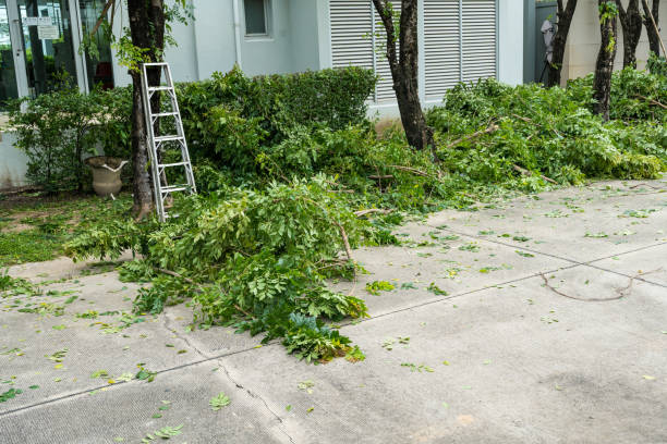 Best Tree Mulching  in Yosemite Lakes, CA